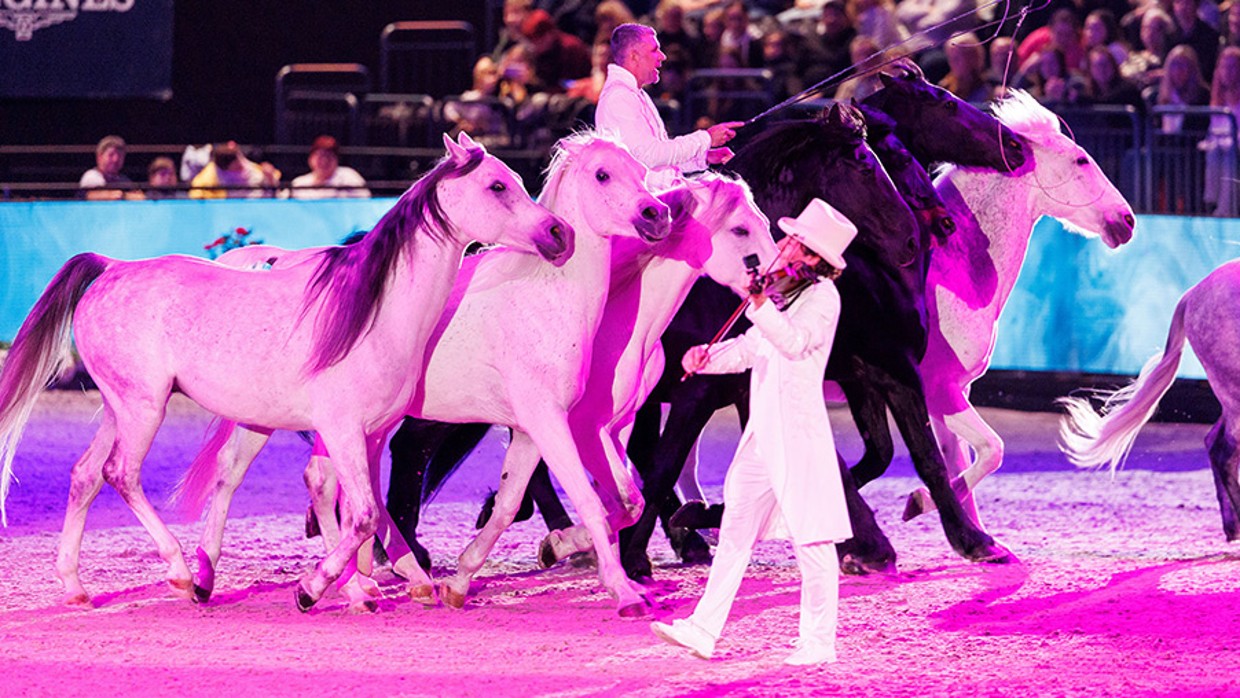 Vier weiße und drei schwarze Pferde laufen dicht an dicht in einer Arena. Auf einem schwarzen Pferd sitzt ein Reiter. Neben den Pferden läuft ein weiß gekleideter Mann mit Zylinder auf dem Kopf und spiet Geige. Fotograf: Stefan Lafrentz