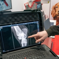 Leipziger Tierärztekongress | 18. bis 20. Januar 2024  Leipziger Tierärztekongress | 18. bis 20. Januar 2024