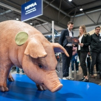 Leipziger Tierärztekongress | 18. bis 20. Januar 2024  Leipziger Tierärztekongress | 18. bis 20. Januar 2024