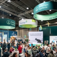 Leipziger Tierärztekongress 2024 Leipziger Tierärztekongress 2024