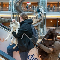 Leipzig Veterinary Congress | 15 to 17 January 2026