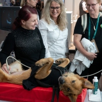 Leipzig Veterinary Congress | 15 to 17 January 2026