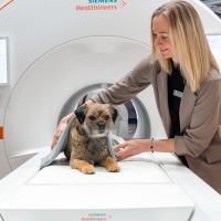 Leipzig Veterinary Congress | 15 to 17 January 2026