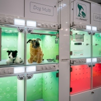 Leipziger Tierärztekongress | 18. bis 20. Januar 2024  Leipziger Tierärztekongress | 18. bis 20. Januar 2024