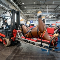 Leipziger Tierärztekongress | 18. bis 20. Januar 2024  Leipziger Tierärztekongress | 18. bis 20. Januar 2024