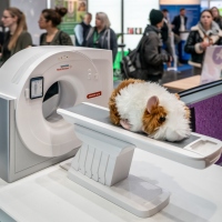 Leipziger Tierärztekongress | 18. bis 20. Januar 2024  Leipziger Tierärztekongress | 18. bis 20. Januar 2024