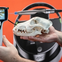 Leipziger Tierärztekongress | 18. bis 20. Januar 2024  Leipziger Tierärztekongress | 18. bis 20. Januar 2024