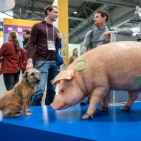 Leipziger Tierärztekongress | 18. bis 20. Januar 2024  Leipziger Tierärztekongress | 18. bis 20. Januar 2024